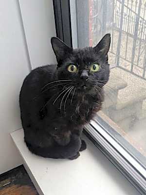 Photo of Rocket #image