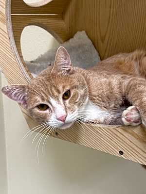 Photo of Peter #image