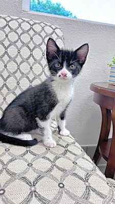 Photo of Quigley #image