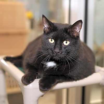 Photo of Monty #image