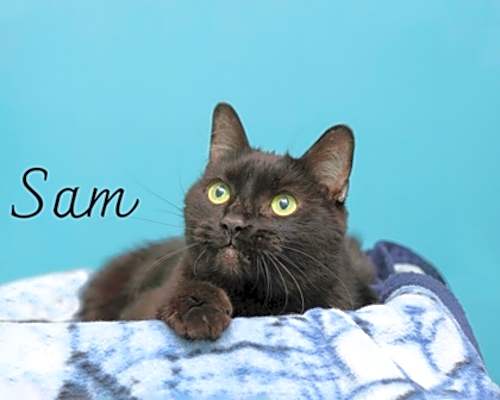 Photo of Sam #image