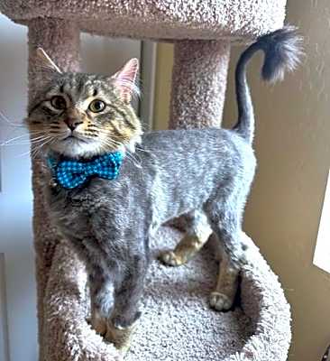 Photo of Maurice #image