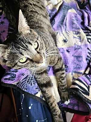 Photo of Ponyo #image