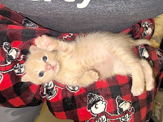 Photo of Colby #image