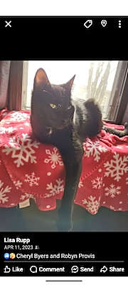 Photo of Perry #image