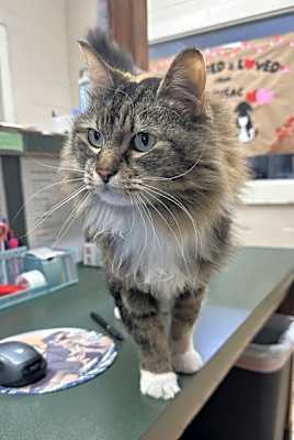 Photo of Annabelle #image