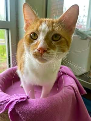 Photo of Sid #image
