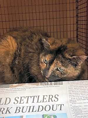 Photo of *STACY #image