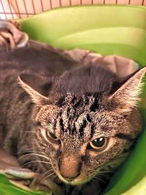 Photo of Walter (was Vincent) #image