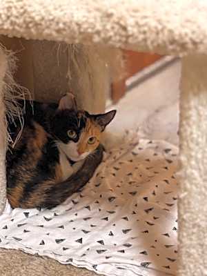 Photo of Bernadette #image