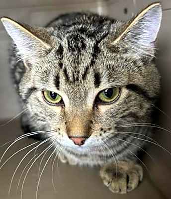 Photo of Quincy #image