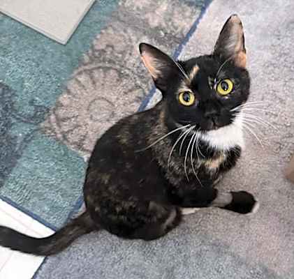 Photo of Hope (MH) #image