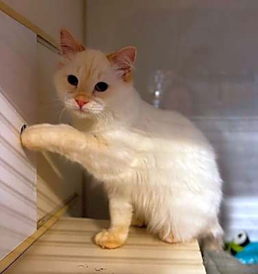 Photo of Jerry #image
