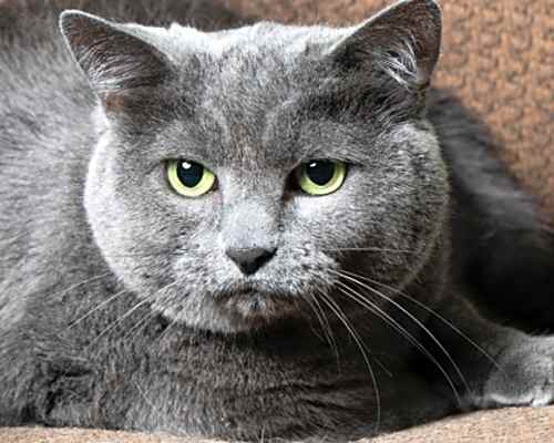 Photo of Matilda #image