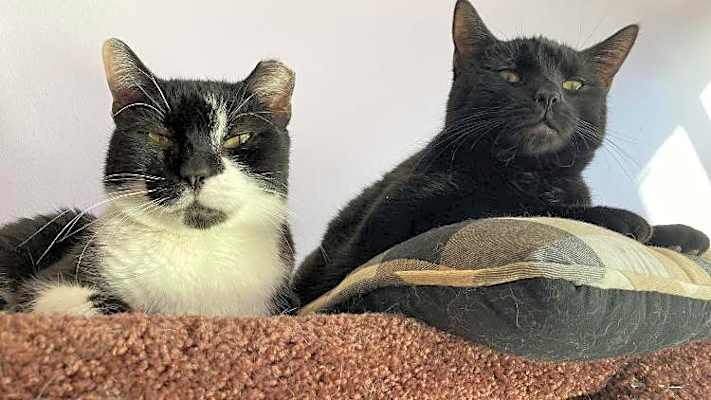 Photo of Felix and Ellie #image