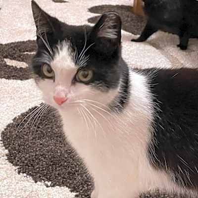 Photo of Wally #image
