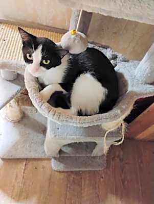 Photo of Lucille W #image
