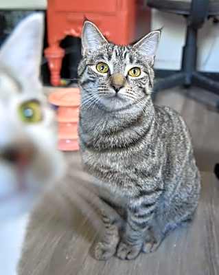 Photo of Tuffs #image