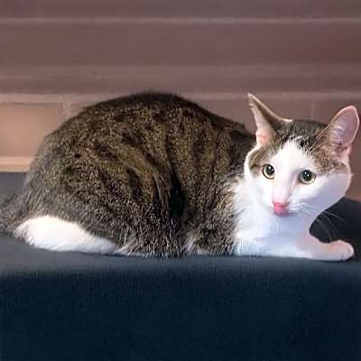 Photo of Slick Jack P #image