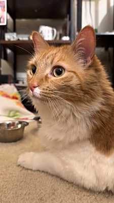 Photo of GRETA #image
