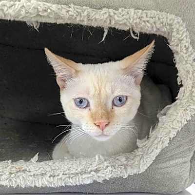 Photo of Fergus #image
