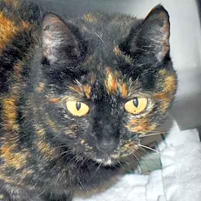 Photo of Alice #image