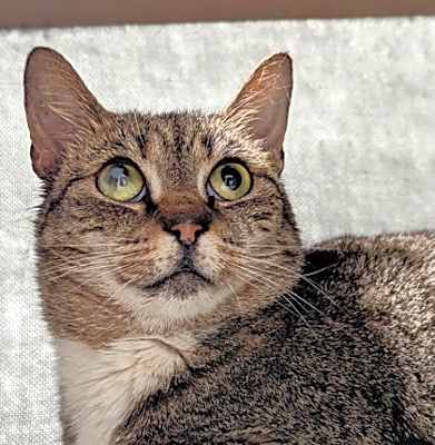 Photo of Chrissy #image