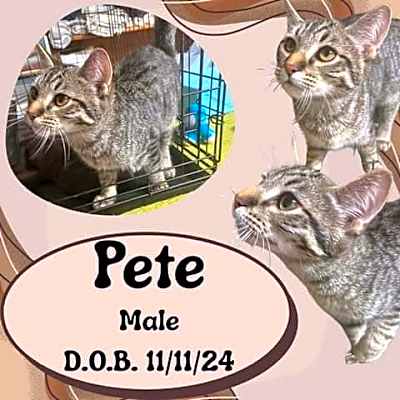 Photo of Pete #image