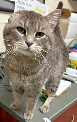 Photo of Thomas #image
