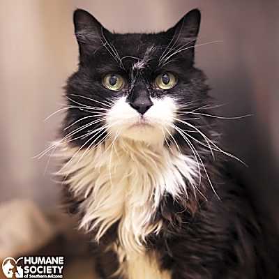 Photo of LOLA #image