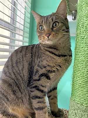 Photo of Edith #image