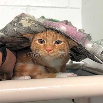 Photo of Maeve #image