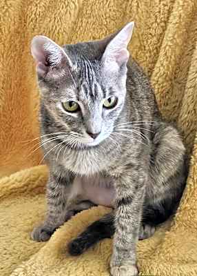 Photo of Nami #image
