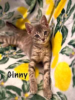 Photo of Ginny #image