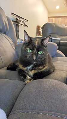 Photo of Ember #image
