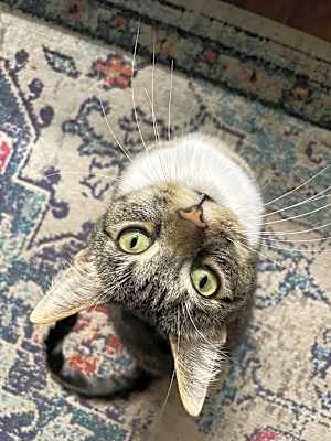 Photo of Misa #image