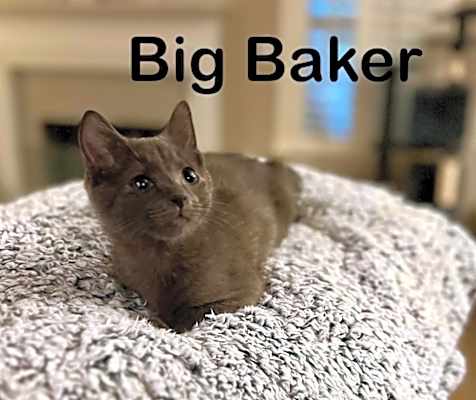 Photo of Big Baker #image