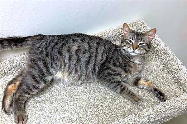 Photo of MAVIE #image