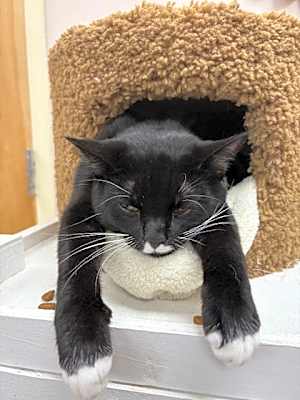 Photo of Stach #image