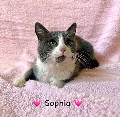 Photo of Sophia #image
