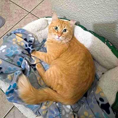 Photo of Sherbie #image