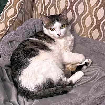 Photo of Ruby #image