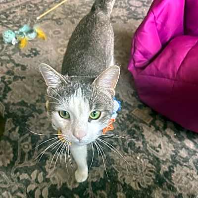 Photo of Walter #image