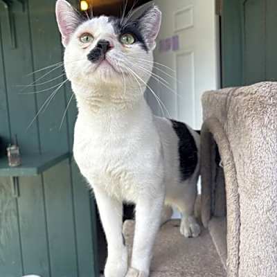 Photo of Mooshu #image