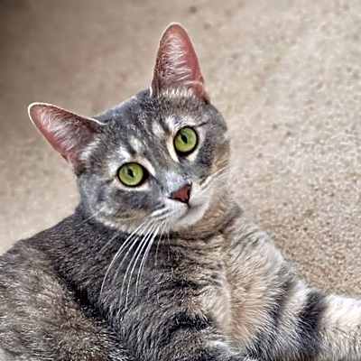 Photo of Kinsley #image