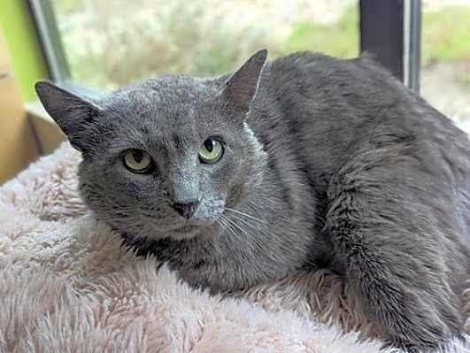 Photo of TEMPLETON #image