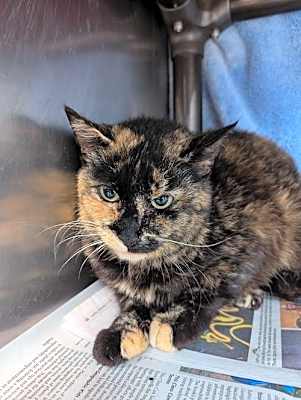 Photo of Wiggles #image