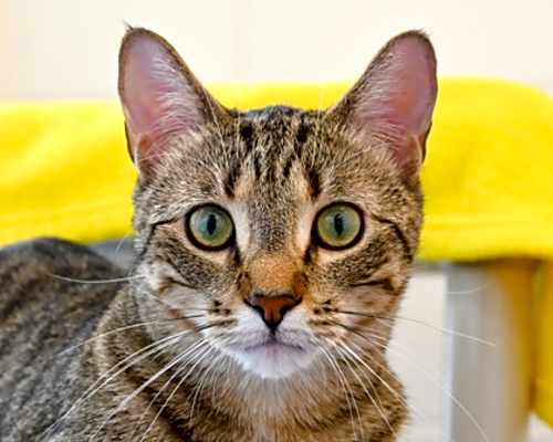 Photo of WENDELL #image