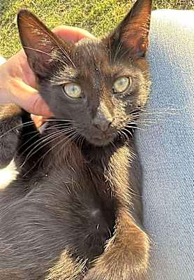 Photo of Penelope #image