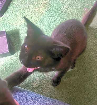 Photo of Riley #image